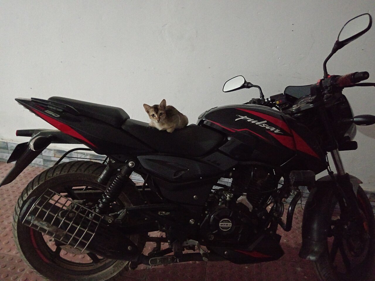 Bajaj Pulsar N160 Dual ABS — Brand New
