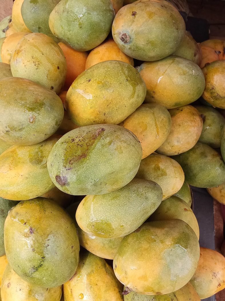 Rajshahi Himsagar Mango — 20kg Box